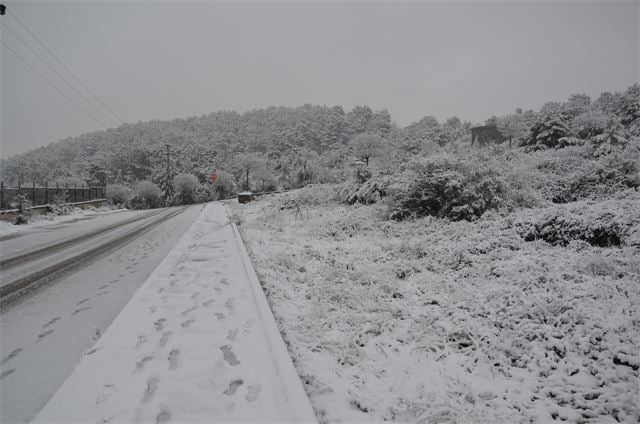 140009250_10158776346854360_3899872368395298779_n