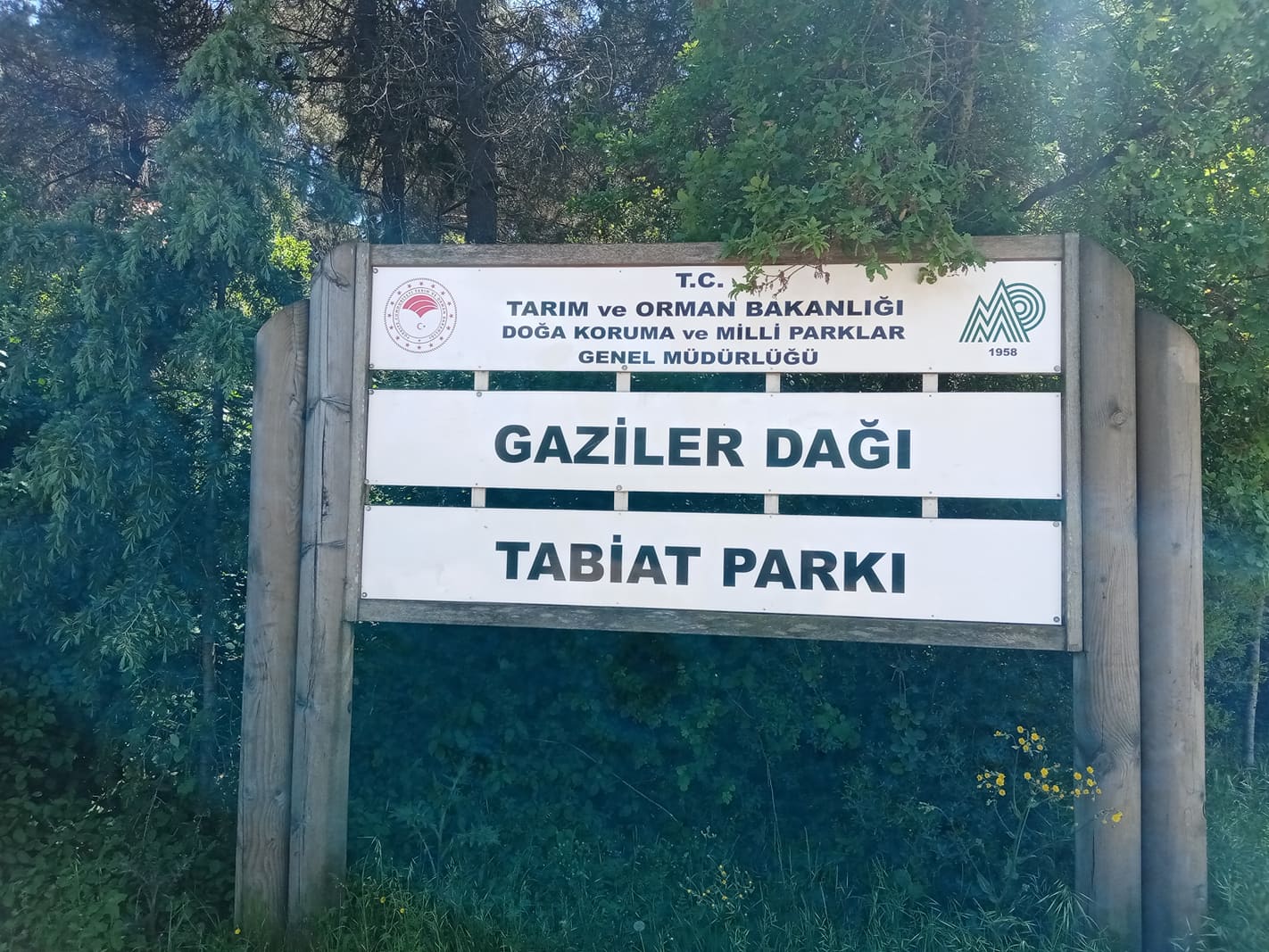 184558993_214999260130327_3308126169636549454_n