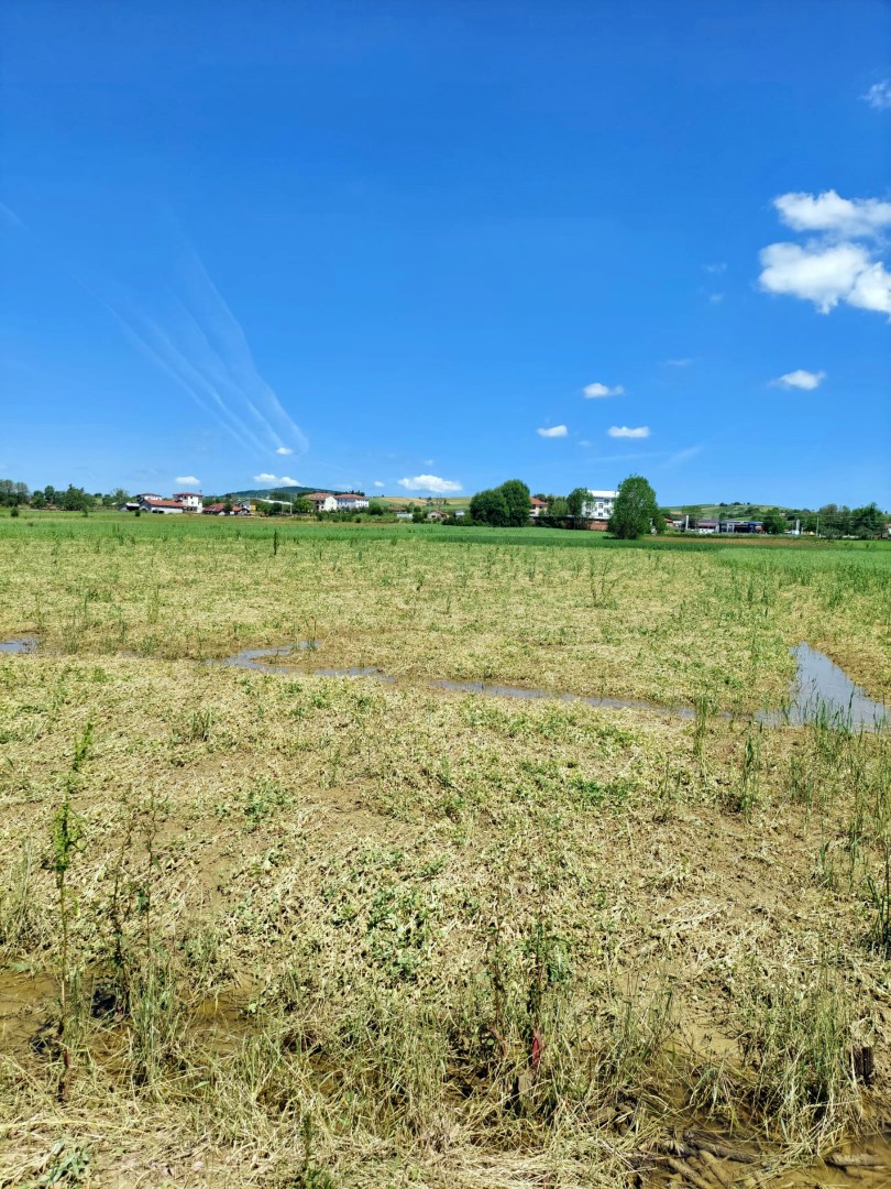 DERİNCE DOLU TOHUM DESTEĞİ (3)