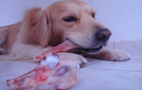 Sakatatları çöpe atmayın (2)