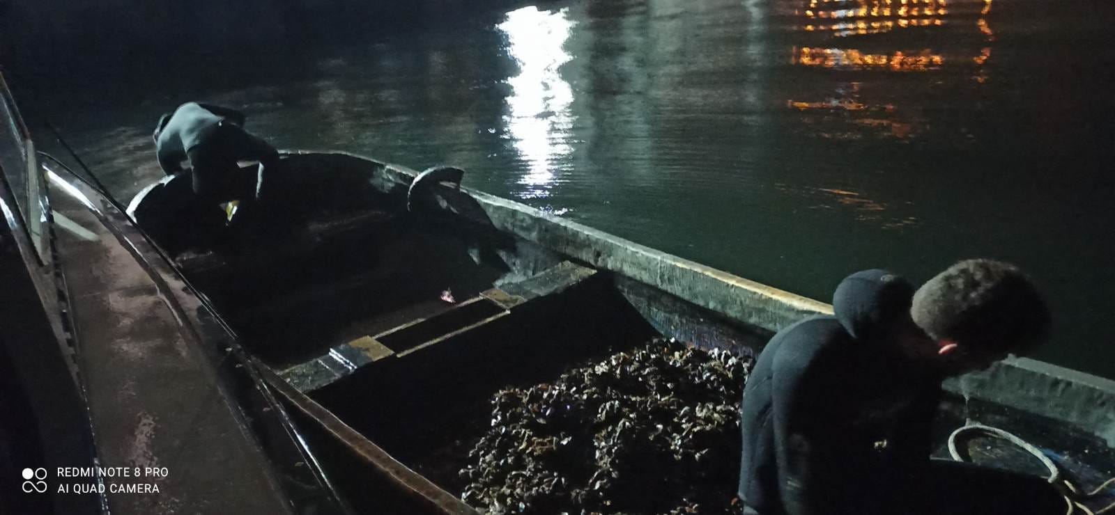 fe2d13a8-b07b-44d2-84d9-bc051fc3a9c2