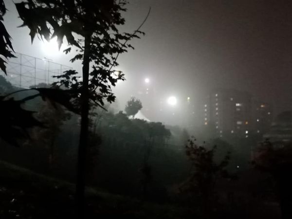 251172669_10159391789459360_4652392634564118991_n