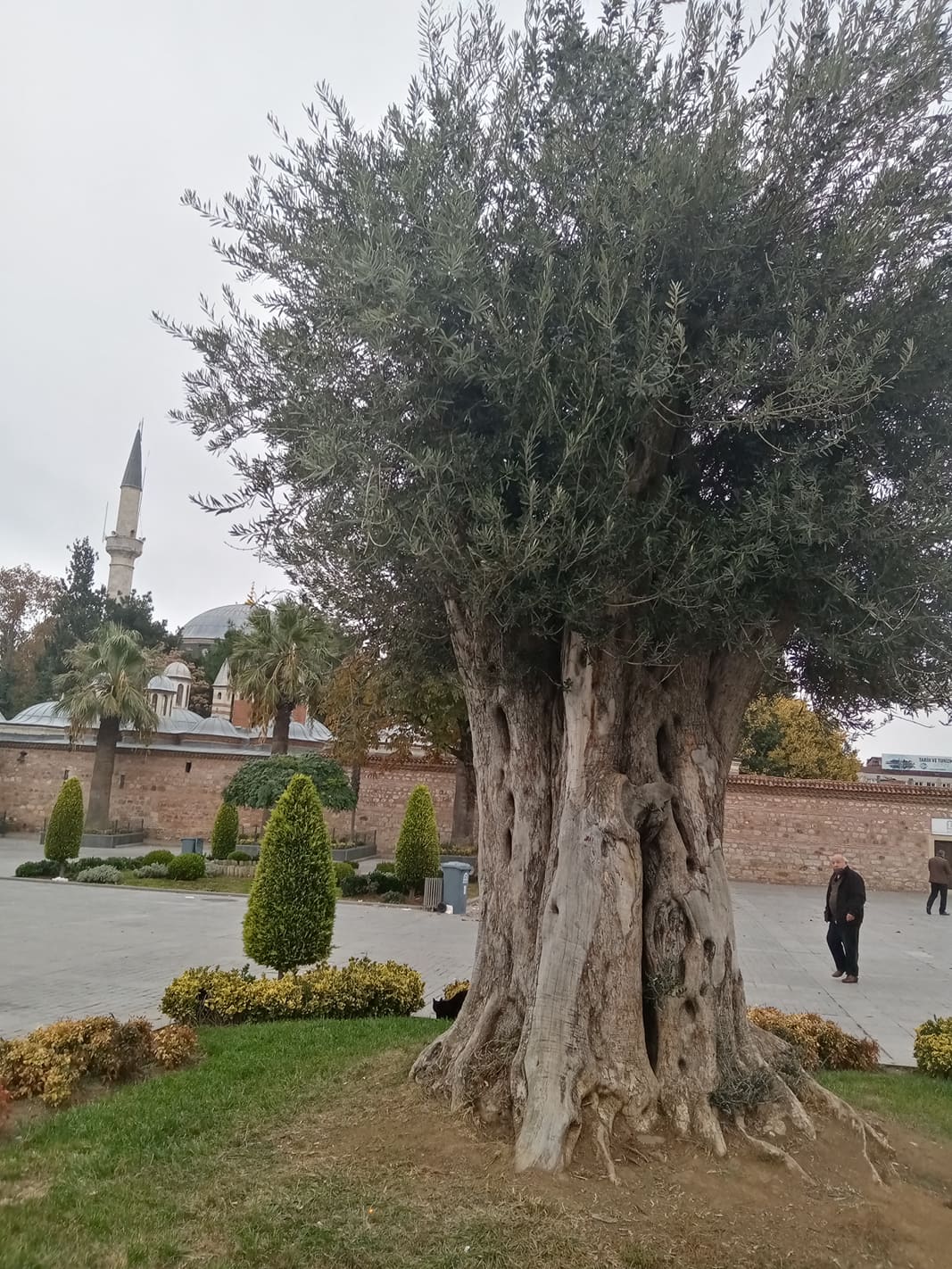 254659779_844378792902720_8098758244531726709_n