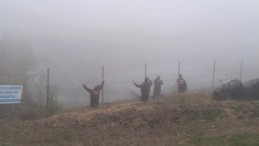 Gölete ayılar girdi  çitlere  zarar  verdi 