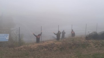 Gölete ayılar girdi  çitlere  zarar  verdi 