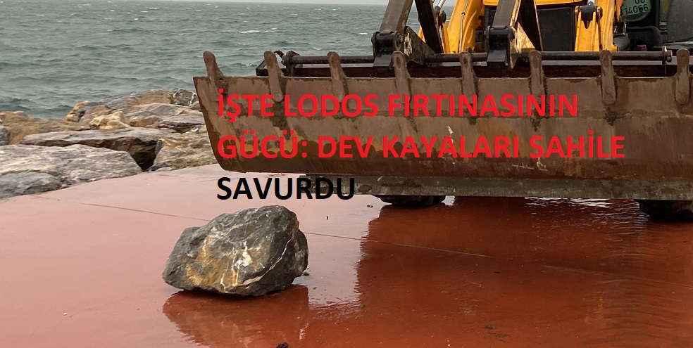 Darıca Belediyesi, lodosun yaralarını sarıyor