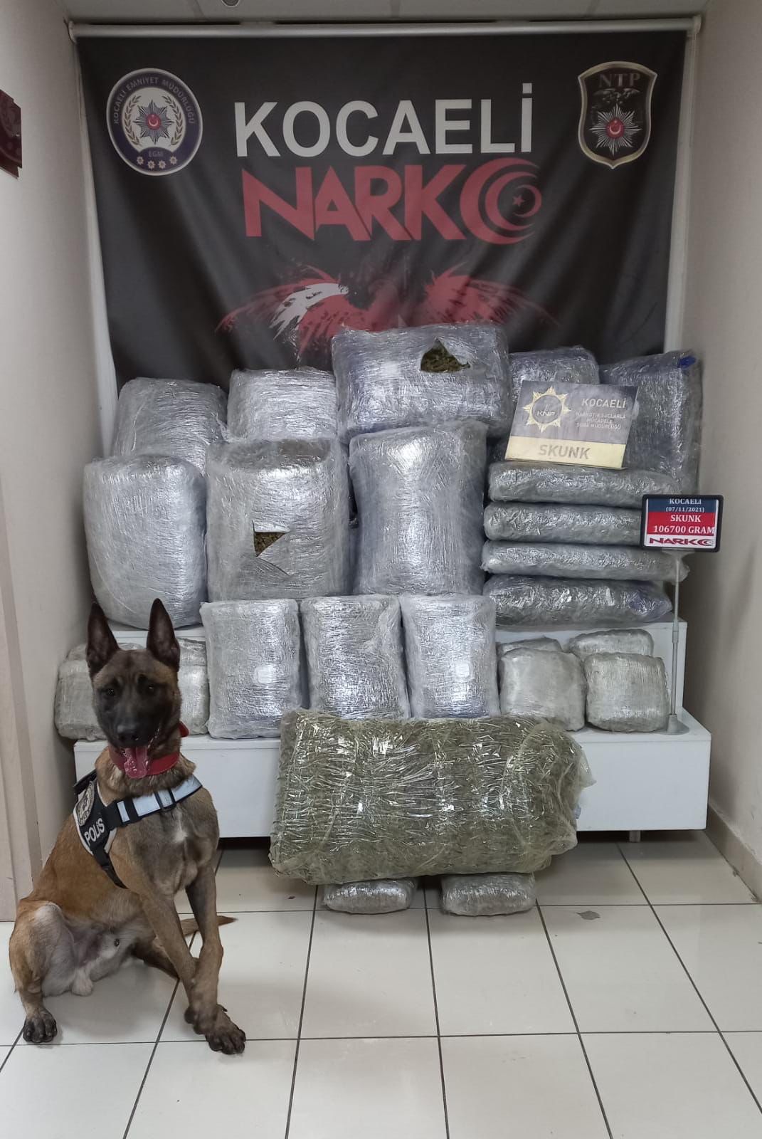 d1acab0c-1eac-4696-af08-3d8e1bec3965