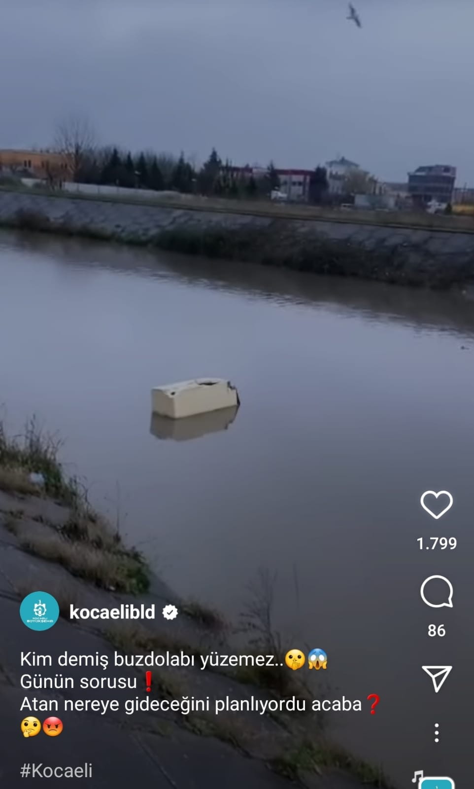 Yüzen buzdolabı (1)