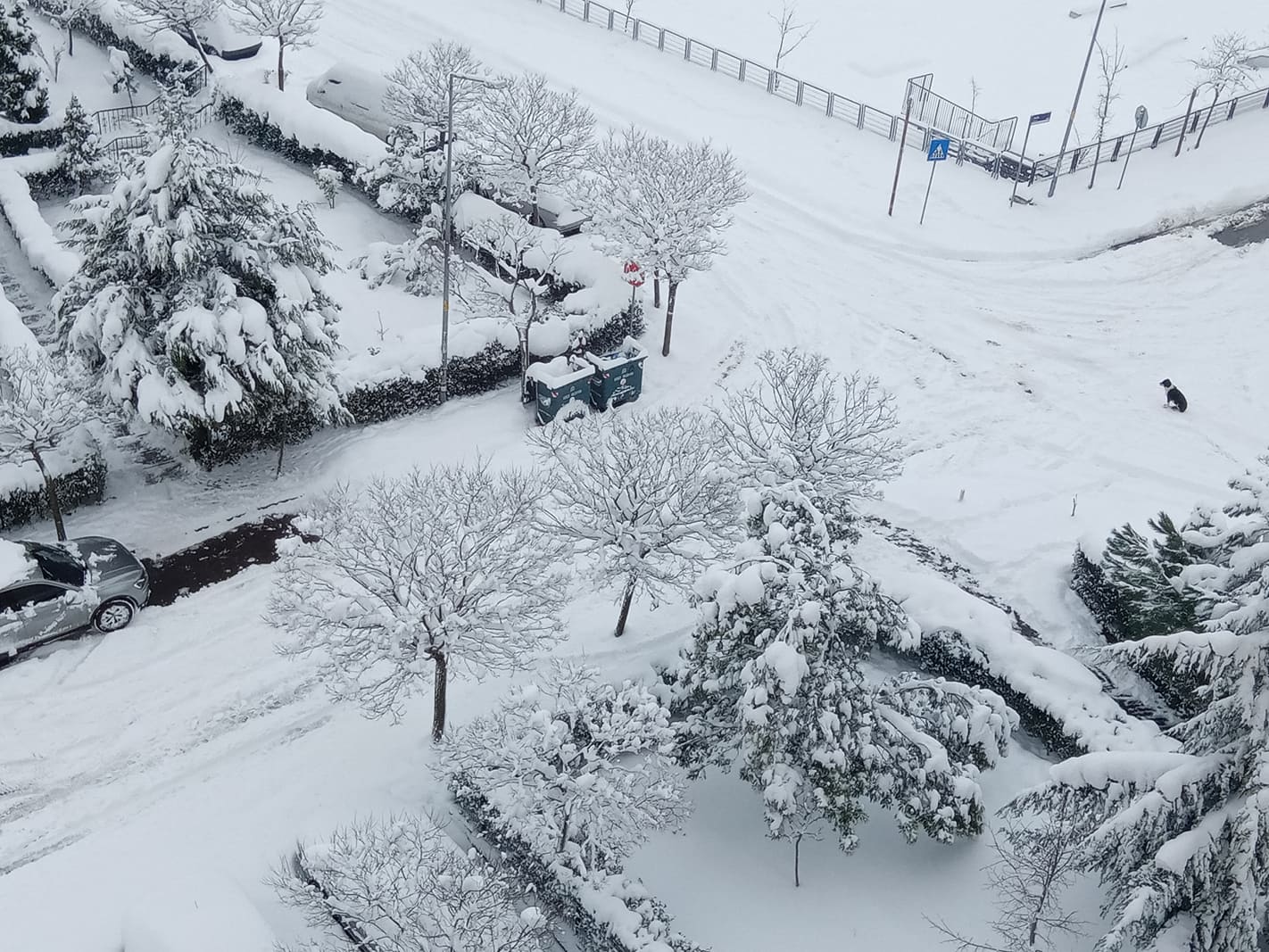 271917842_262258082647717_5839314869145399733_n