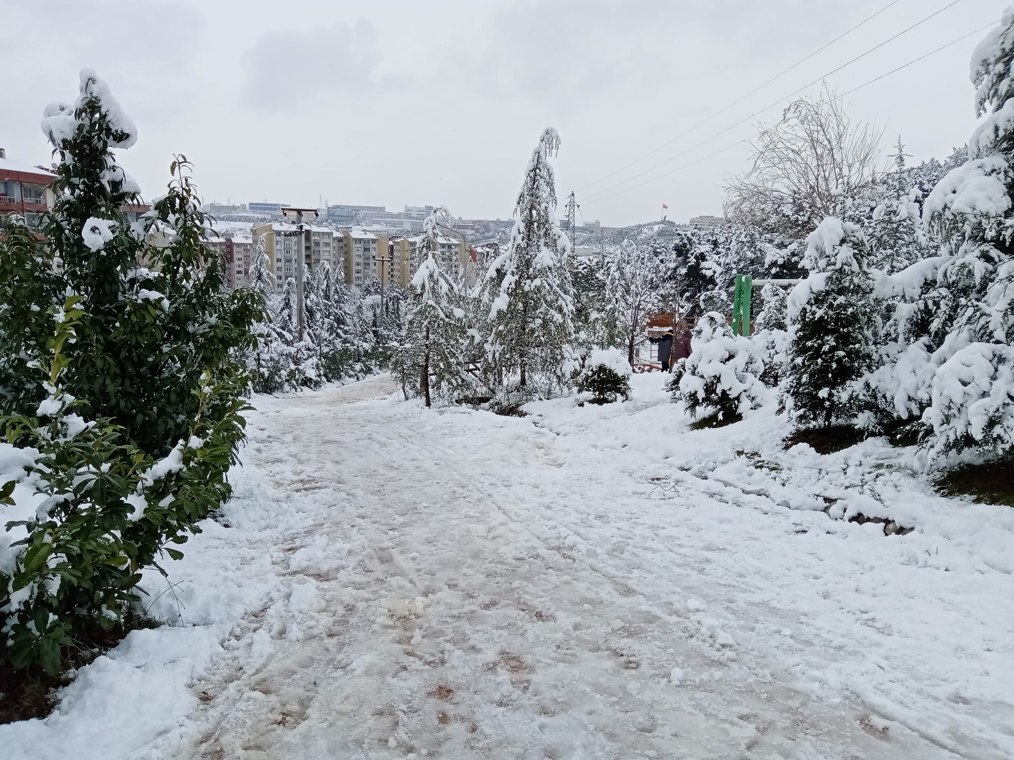 272091454_10159531458794360_54967815561683519_n