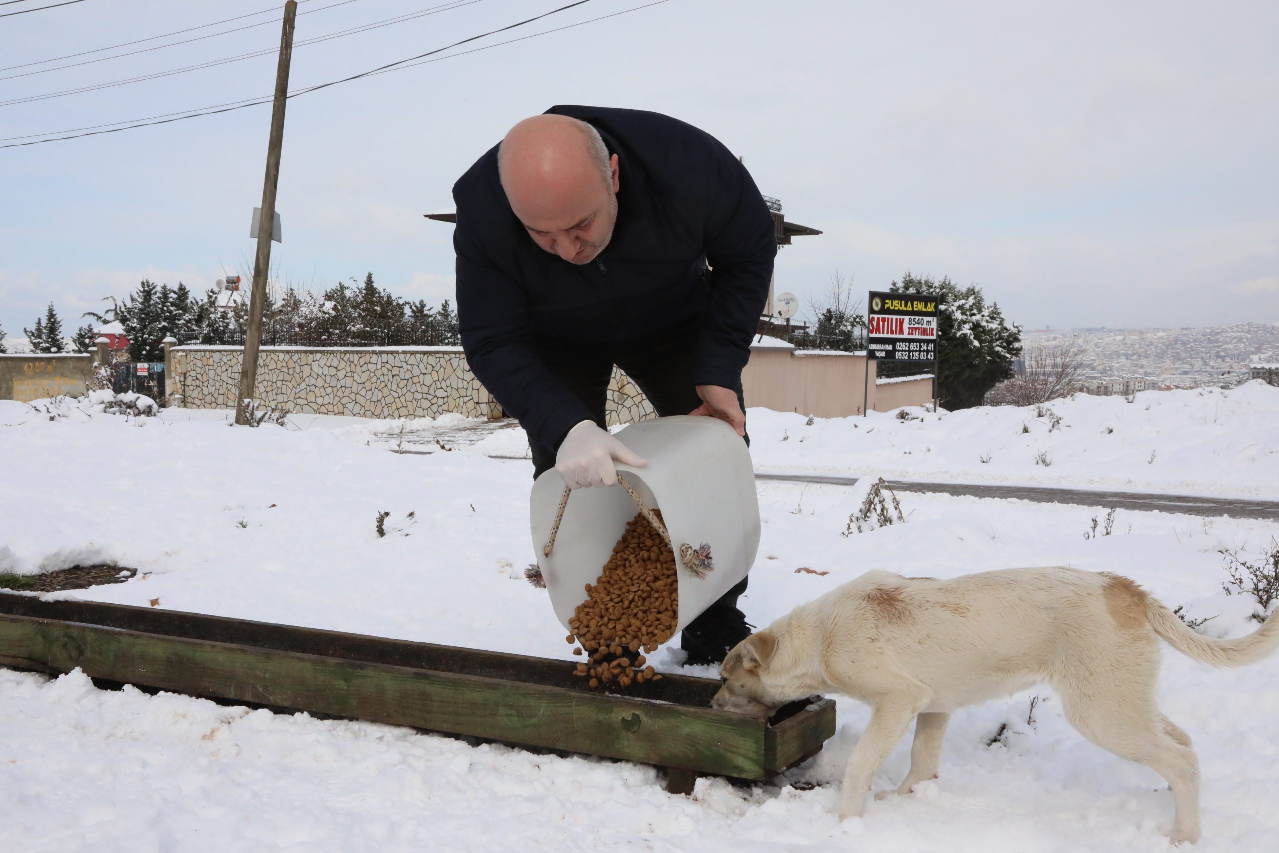 Başkan Bıyık sokak hayvanlarını unutmadı (4)