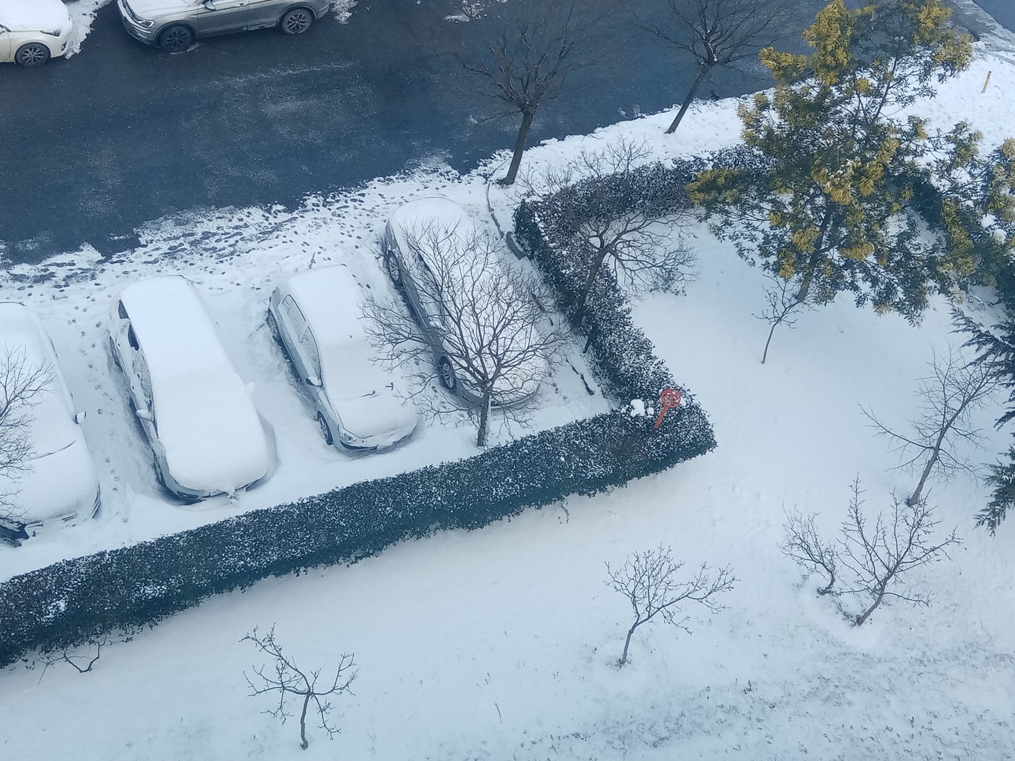 275370564_10159780112159360_3545206646022692022_n