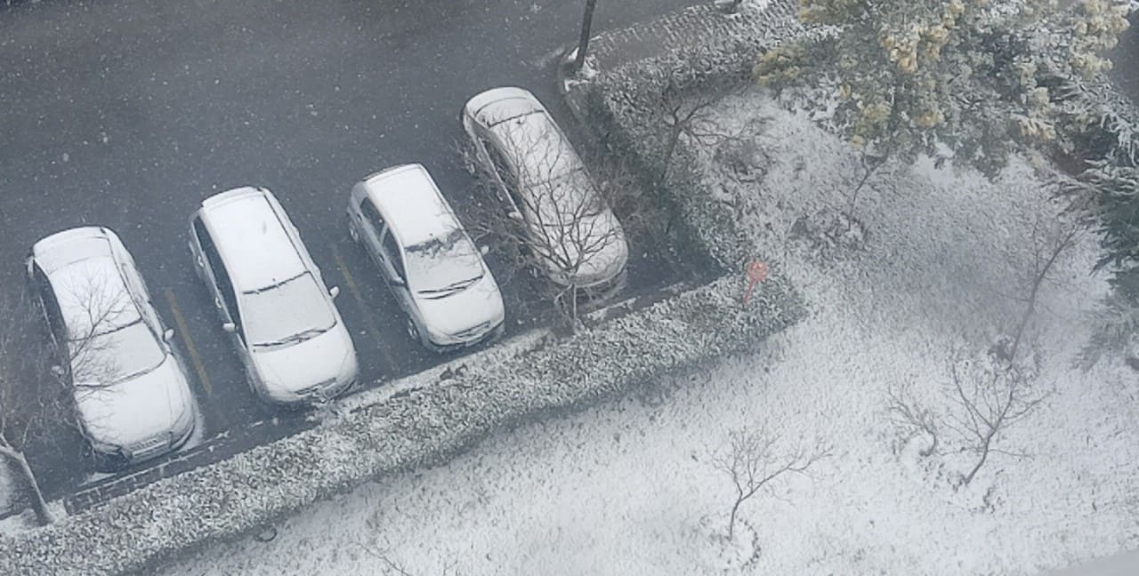 275445329_372545307808228_7751839632463575904_n