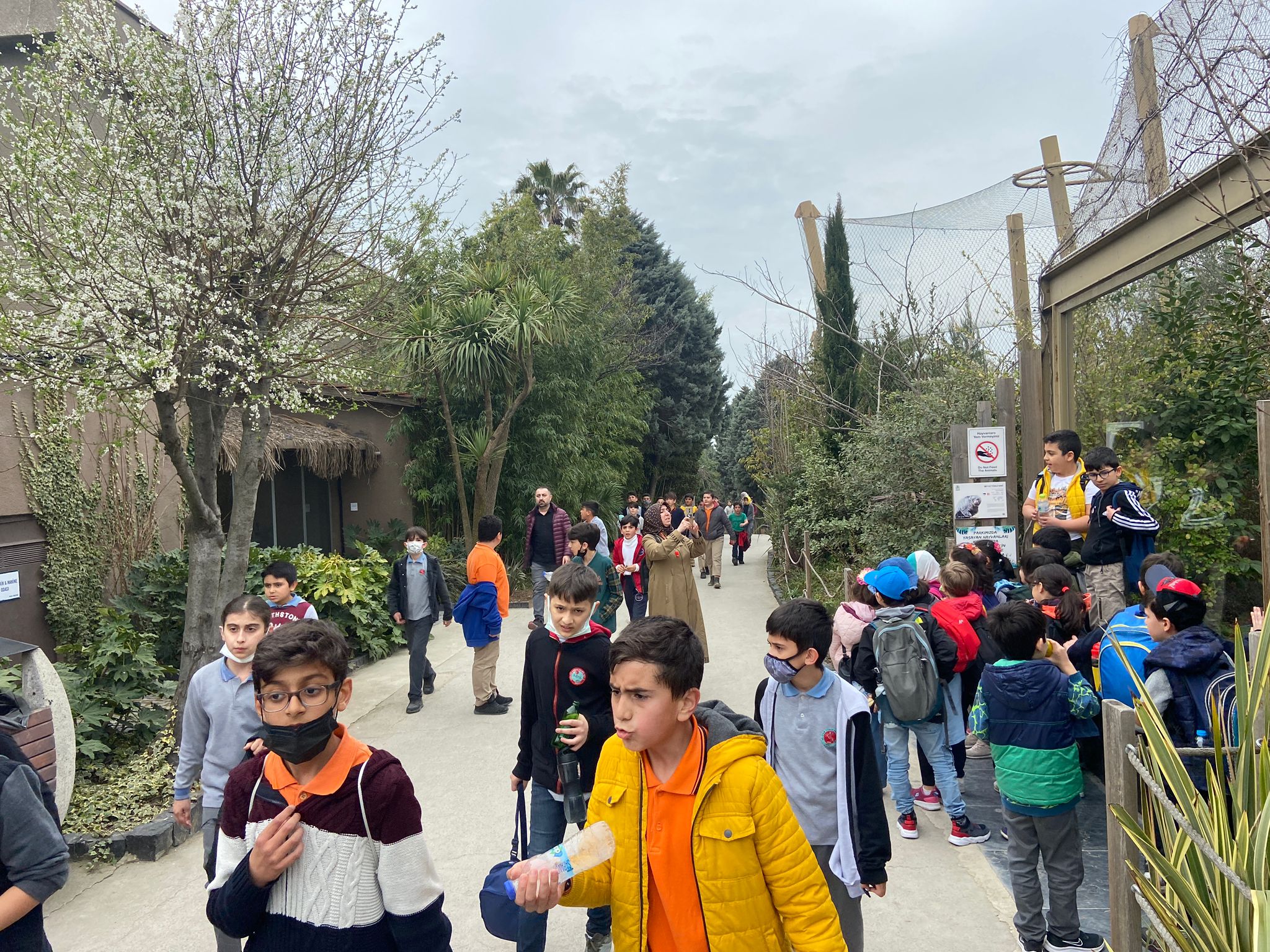 Darıcalı çocuklar Hayvanat Bahçesi’ni geziyor (2)