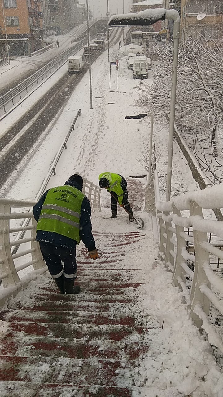 Hummalı çalışma (3)