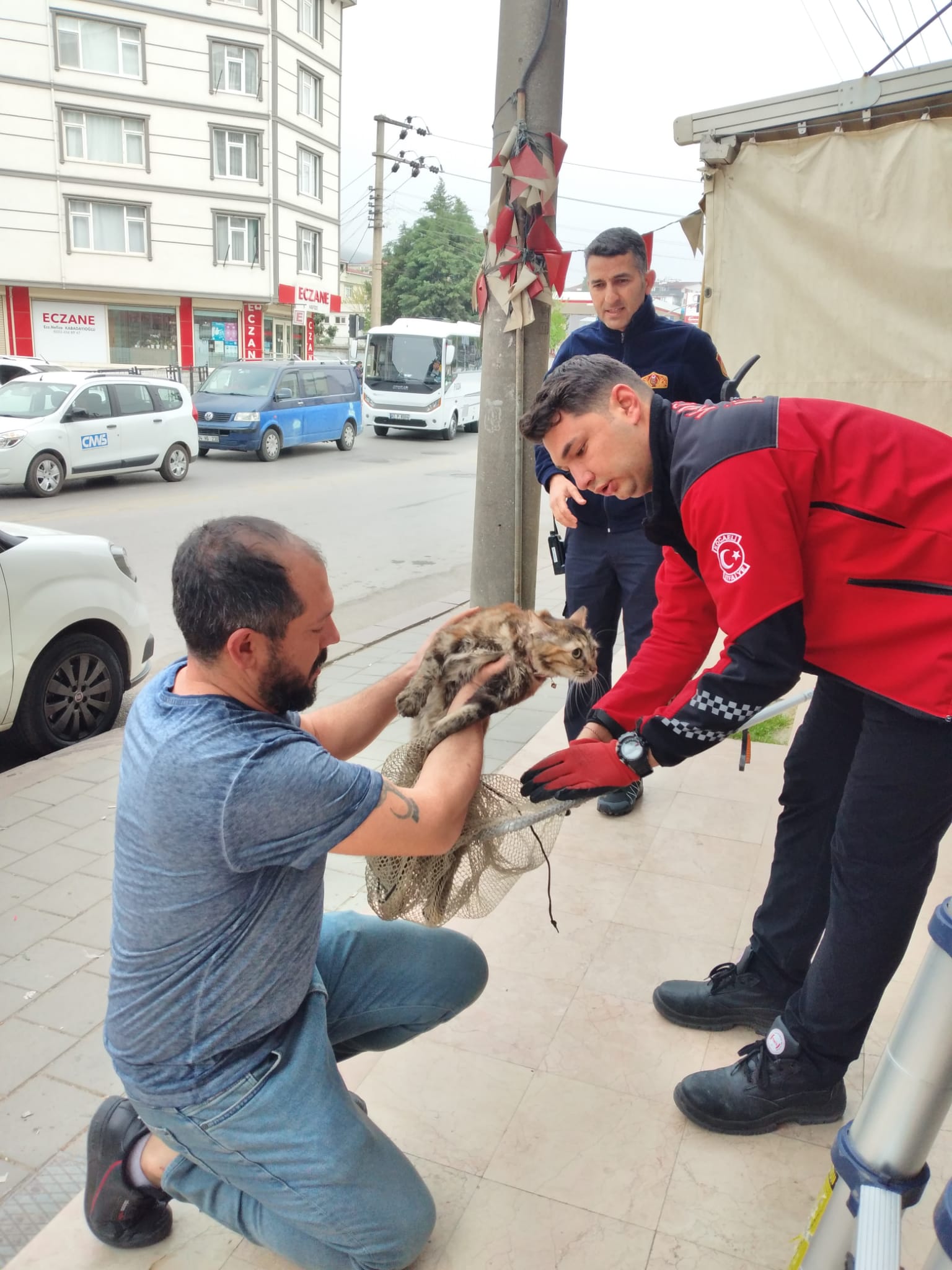 Kedi kurtarma 5