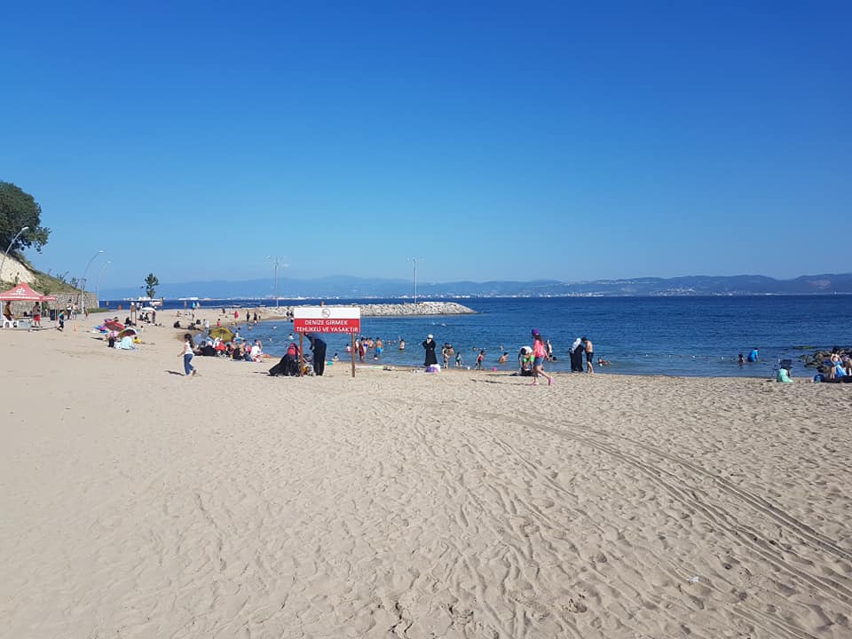 67469693_10157708973235312_7024580615047479296_n