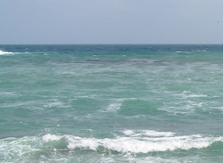 1167171_10151766920789360_403598816_o