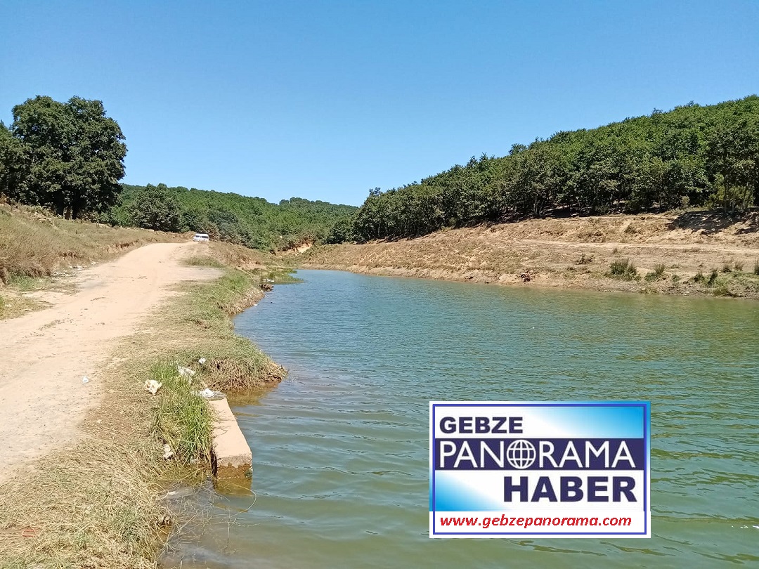 118206838_10158434306029360_2853831160675789145_n