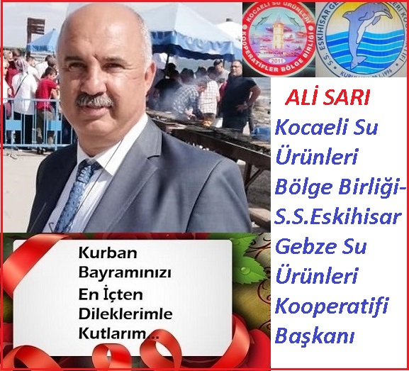 Ali Sarı-1