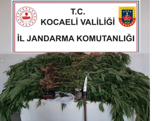 Jandarma uyuşturucu yakaladı