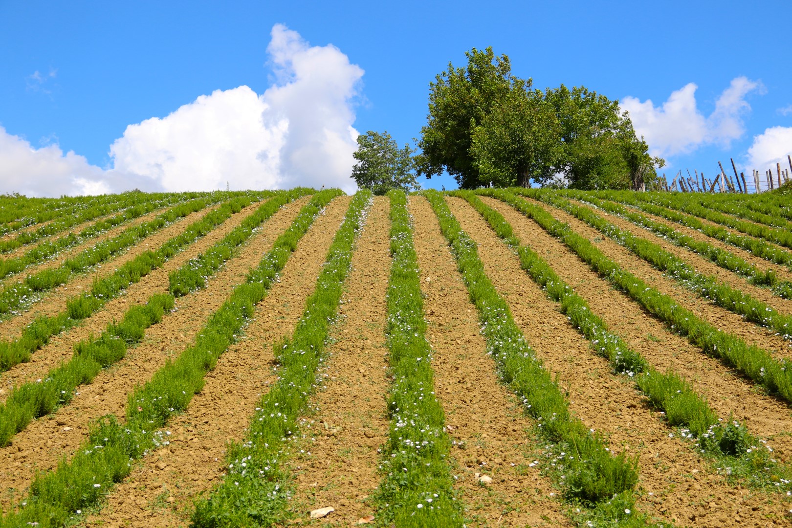 kent konseyi kadın meclis üyeleri tabip gezisi (1) (Large)