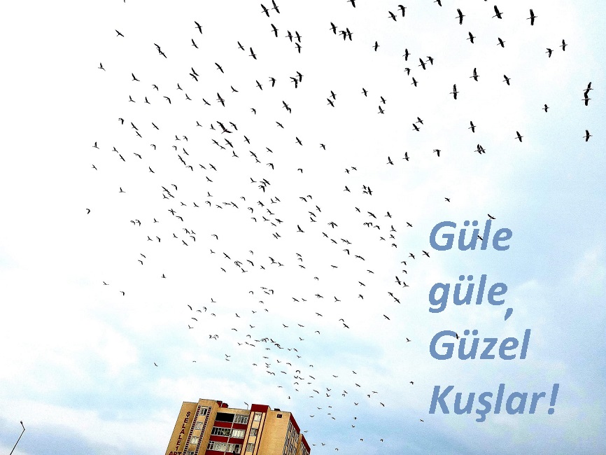 297844100_10160045114589360_5506101001971831015_n