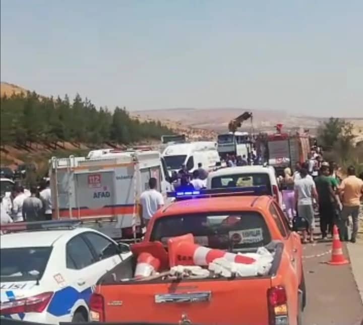 299440009_1031363054215572_5379392836518561267_n