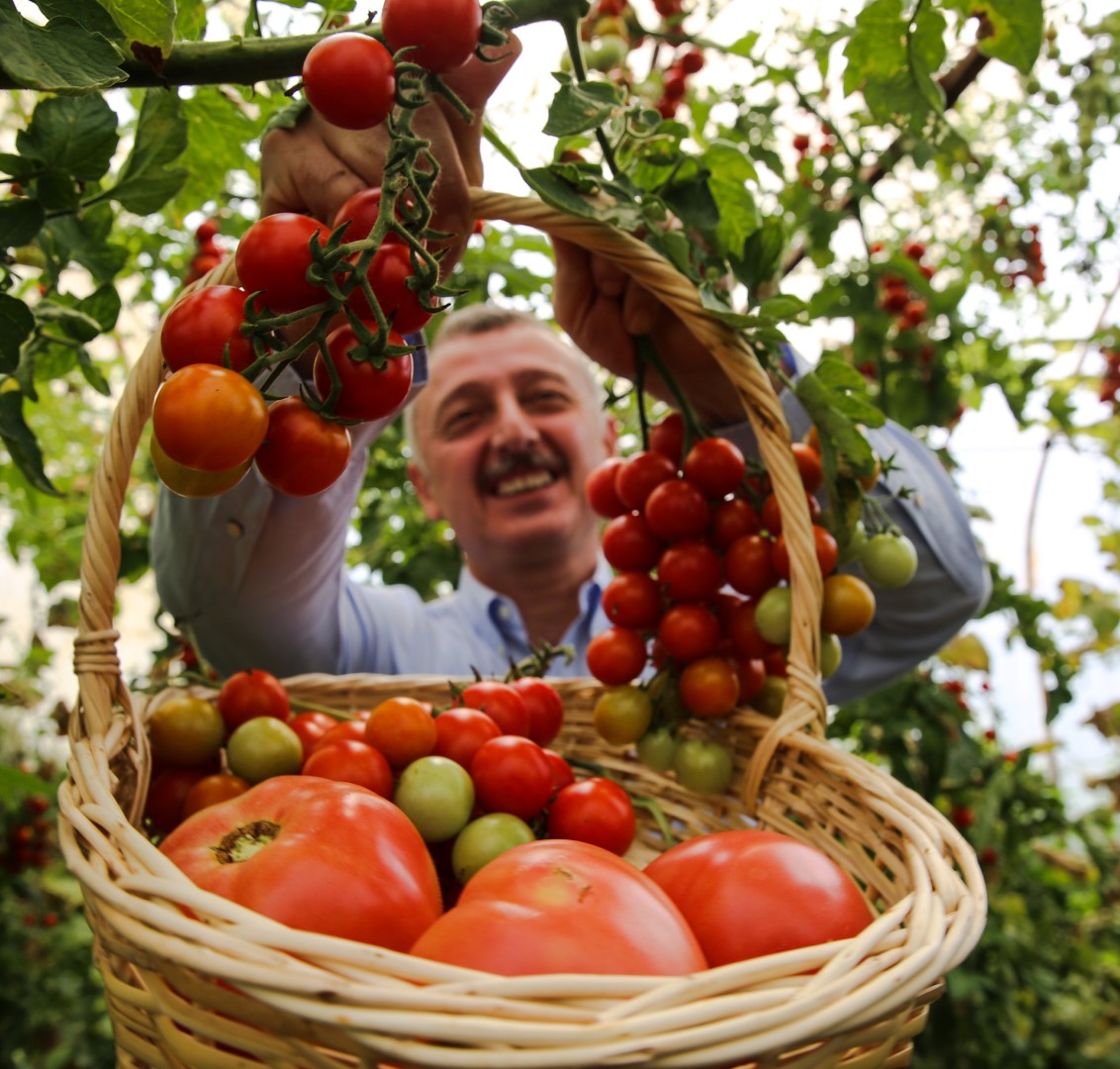 JB8C7471_edited-3 (Large)