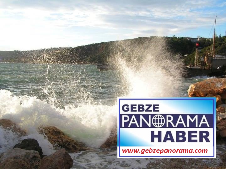 12936606_10154007363389360_1992290102536153503_n