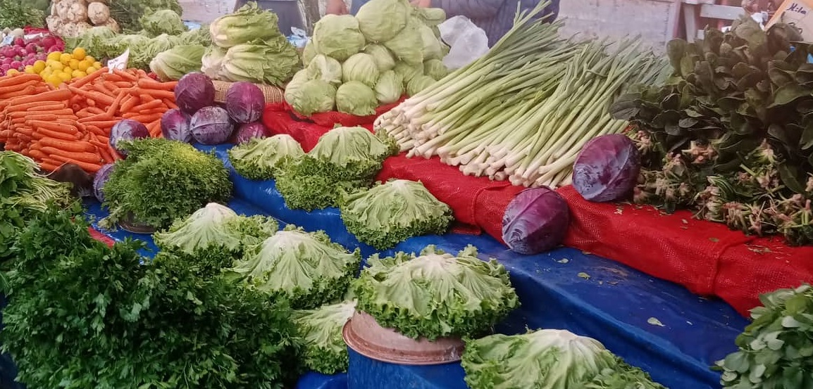 310539573_1506226436472463_8280355225061021255_n