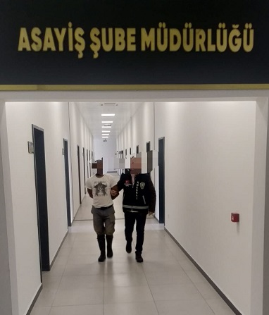 8c866a71-201e-4c0e-ae6b-41e4bc56bd32