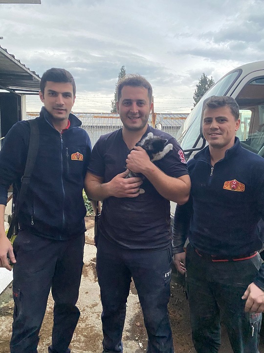 Duvara sıkışan yavru kediyi itfaiye kurtardı