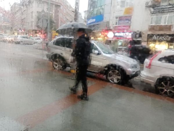 123027481_10158600211149360_7769304676318995005_n