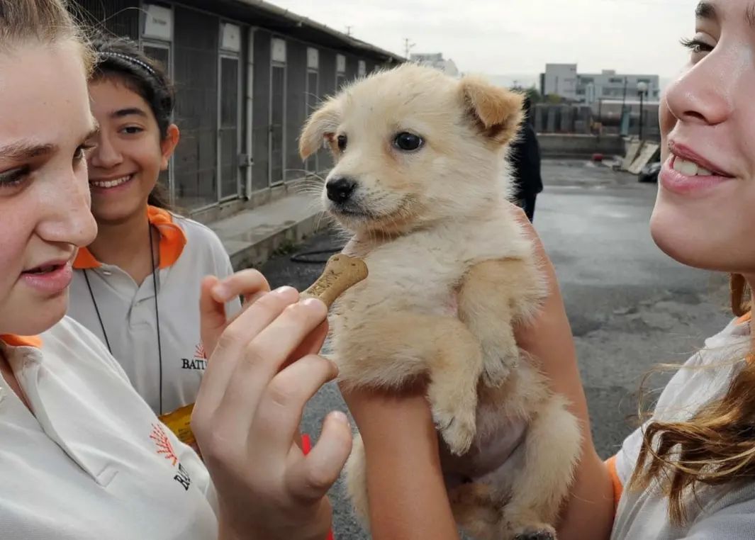 321978487_718412706523757_3939631504915606851_n