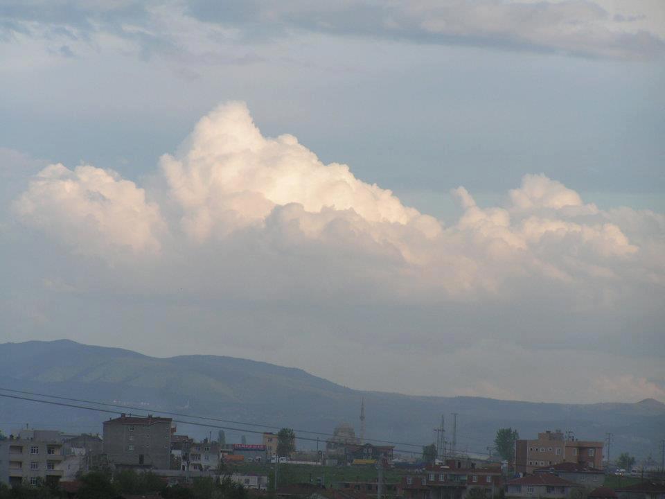 545340_10151147335614360_109802611_n