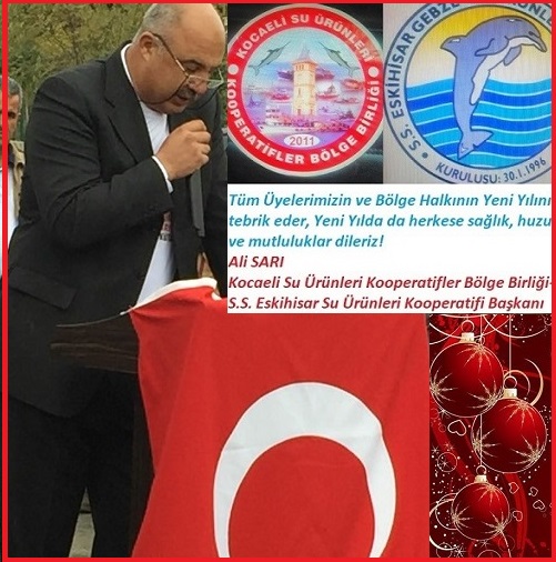 Ali Sarı