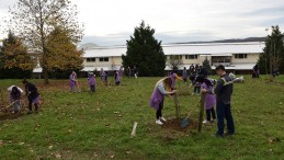 Metraco çevre duyarlılığını artırıyor, Bizimköy’ü ağaçlandırıyor