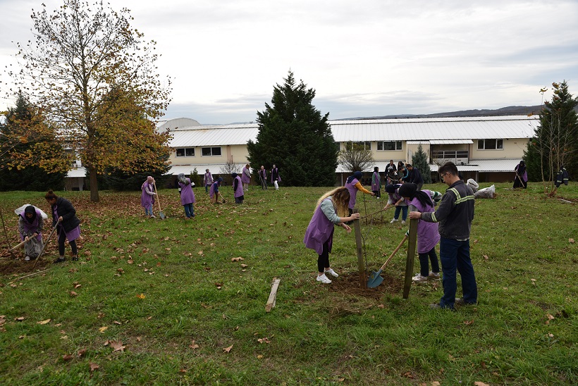 FİDAN DİKİMİ (3)