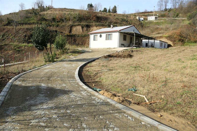 Mustafa_Arslan_1_Large_800_600