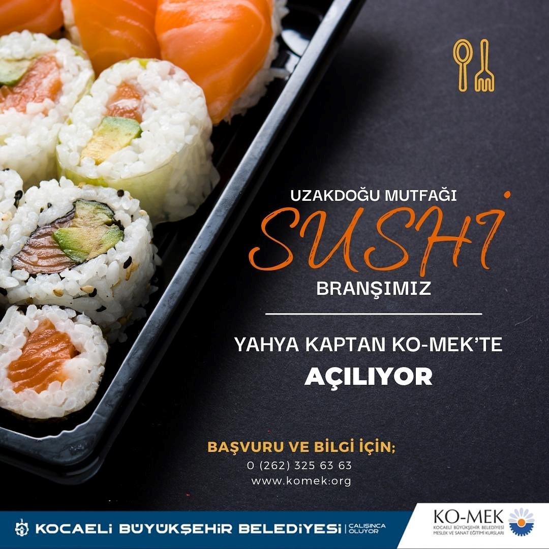 SUSHİ (Large)
