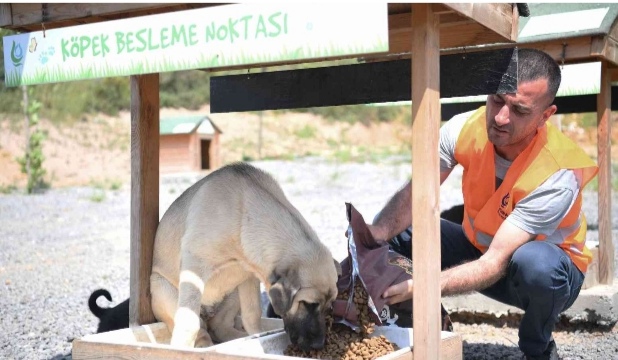 Screenshot_20230103_174319