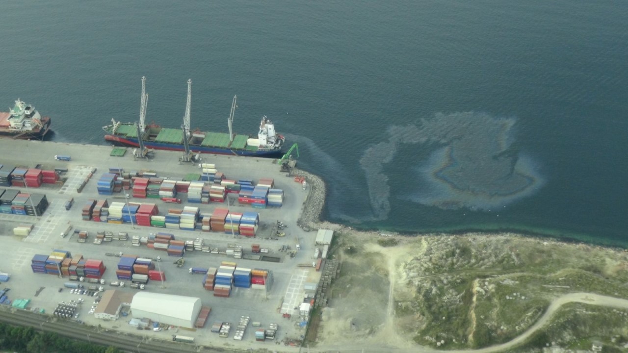 thumbnail_amo (1) (Large)