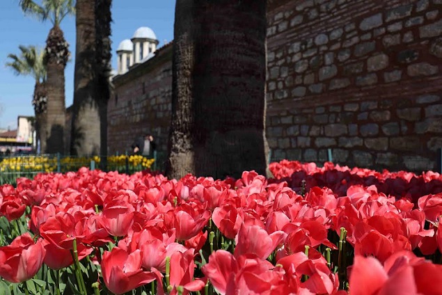 Görsel açıklaması bulunamadı