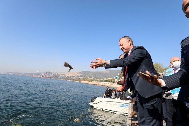 thumbnail_Balıklandırma (4) (Large)