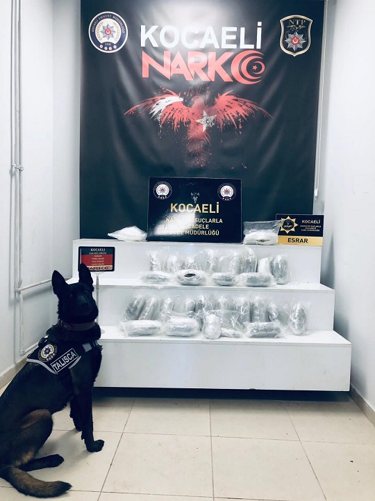 9e76067f-d5ea-4f23-9749-db0f4b4397dc