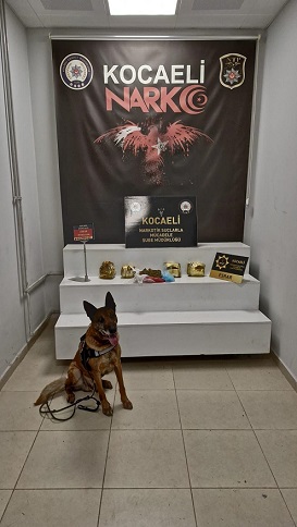 b75c693d-e803-44ea-a59e-7625de5fbf68