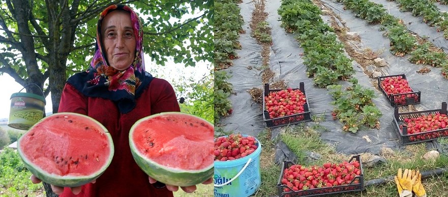 büyükşehir desteği