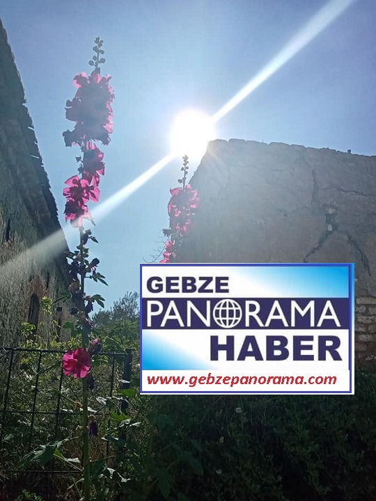 201545681_10159142059034360_57983968623134557_n