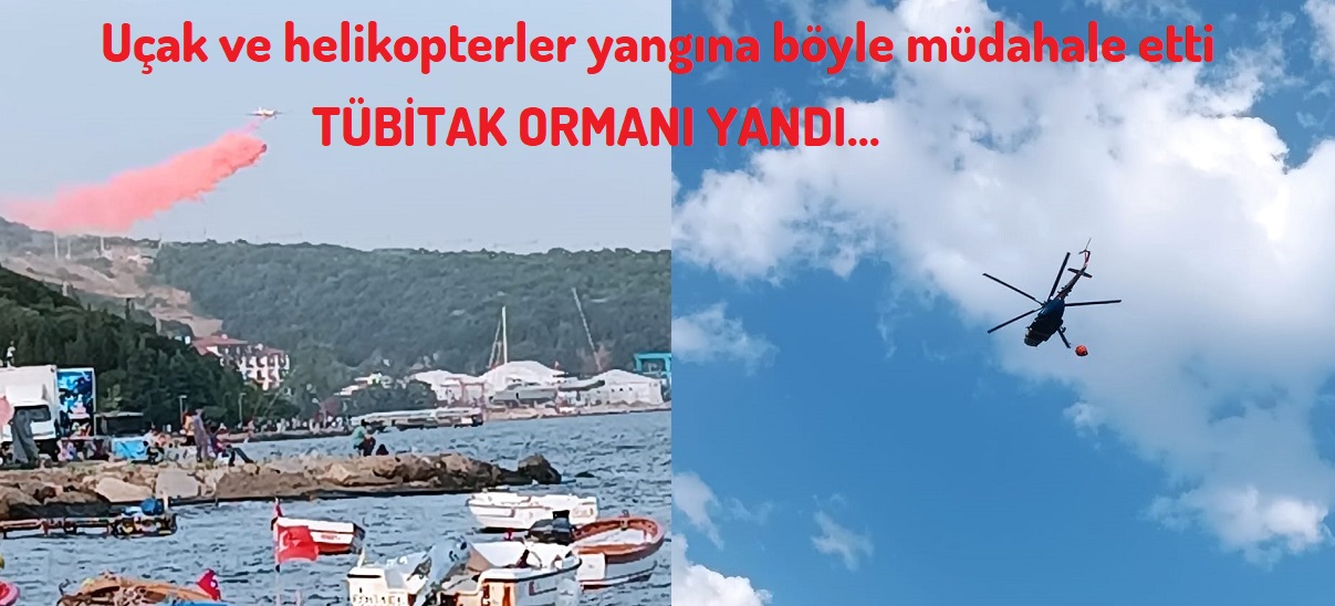 4a91b30a-9326-4f44-9dcd-d4e34f8bed28